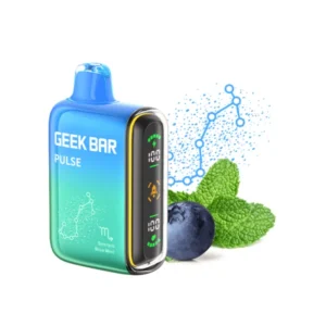 Blue Mint Geek Bar Pulse 15000 Puffs