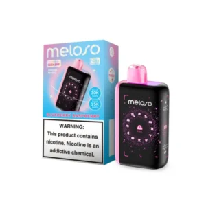 Geek Bar Blueberry Raspberry Meloso Bar 30k Puffs